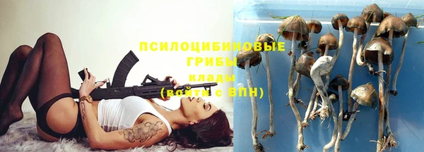 гидропоника Рославль